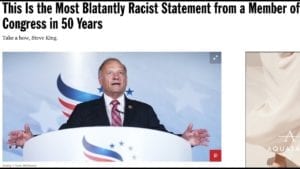 Prof. Griff- Steve King says 'Whites can't Restore their Civilization with Somebody else's Babies'