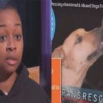 Stray Paws Rescue Workers Sent Racist Voicemail Messages To Black Family That Reclaimed Their Dog
