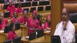 Deputy Speaker In South African Parliament Calls The EFF Anarchists