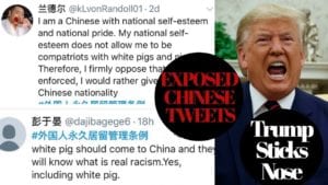 Shocking Chinese Tweets Reveal True Feelings Toward Americans Becoming Permanent Residents In China