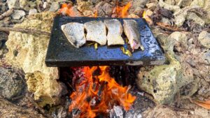 Cooking On Volcanic Rock | Spearfishing Catch & Cook